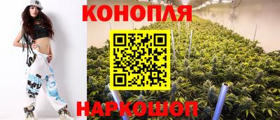 мяу мяу мука Партизанск