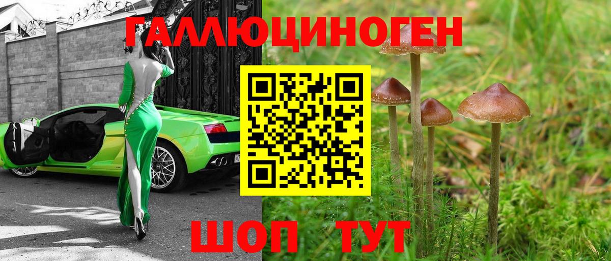 Псилоцибиновые грибы мухоморы Туапсе
